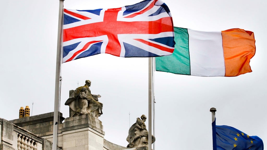 Last year the Dublin institute lobbied the department for funding to set up a forum for sharing information and planning strategies to deal with the United Kingdom’s exit from the European Union.  Photograph: Brian O’Leary/RollingNews.ie