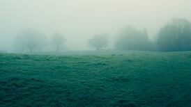 Mist and fog weather warning as drivers urged to take caution