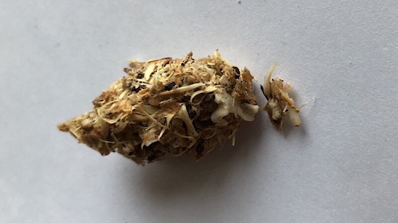 Pellet