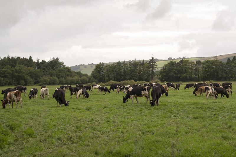 The National Dairy Council was criticised for its advertising campaign that claimed 'meeting growing international demand for dairy by producing it in Ireland is the best way of tackling the global climate change challenge'. Photograph: Paulo Nunes dos Santos/Bloomberg/Getty 