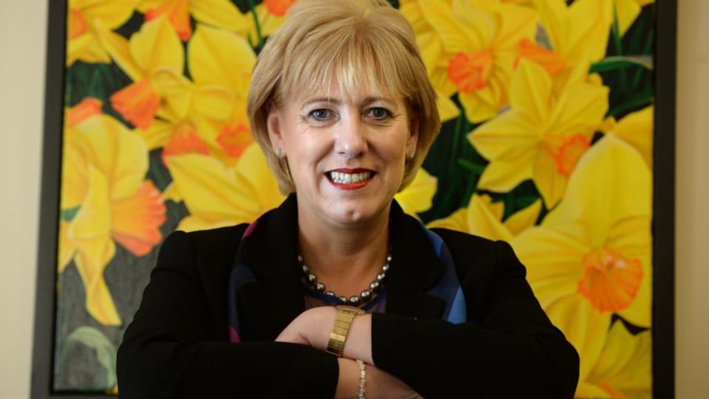 Minister for Arts, Heritage and the Gaeltacht Heather Humphreys who refused to answer questions in the Seanad about  Mr McNulty’s appointment.