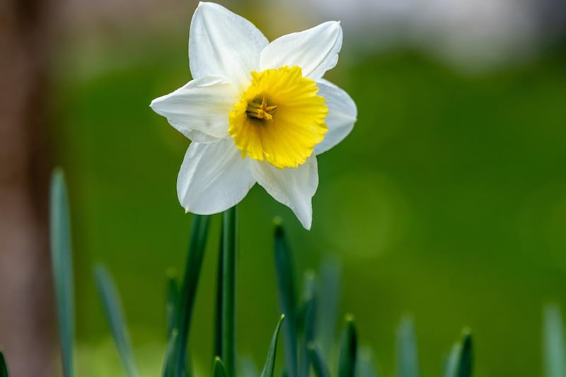 Have you lost someone to Covid-19? Share their story