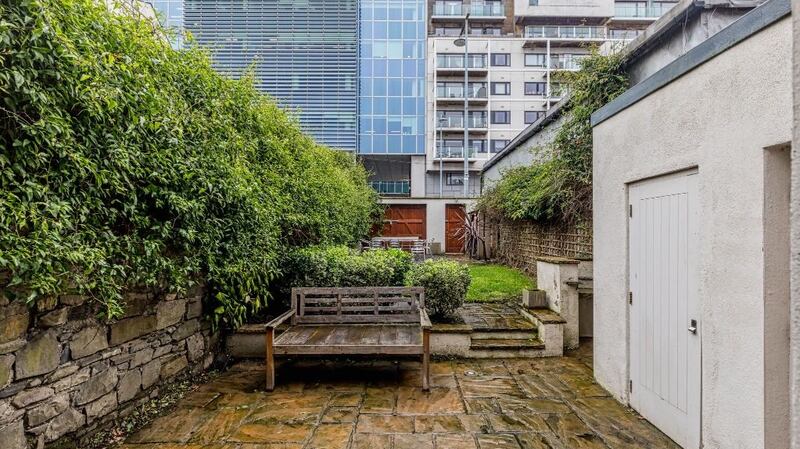 Back garden