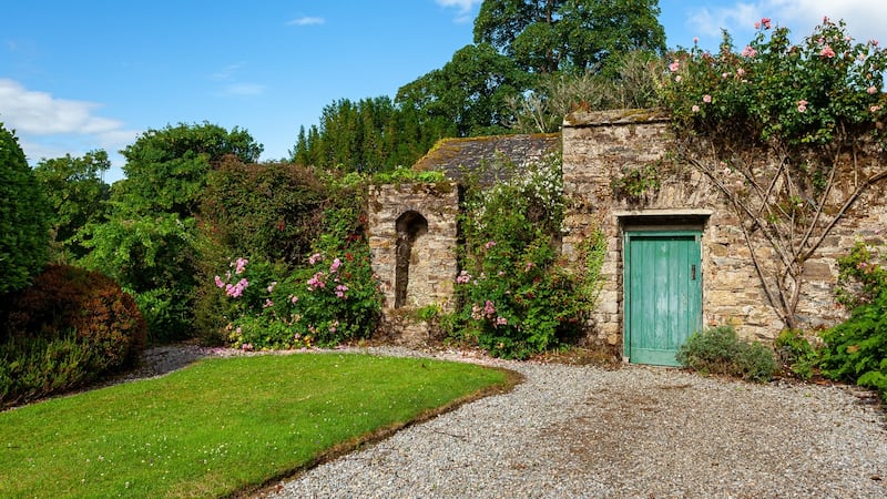 Photograph: Niamh Whitty/pictureitsold.ie