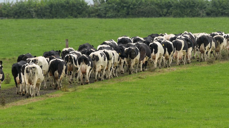 The Irish Times view on nitrates and waterways: procrastinating towards disaster