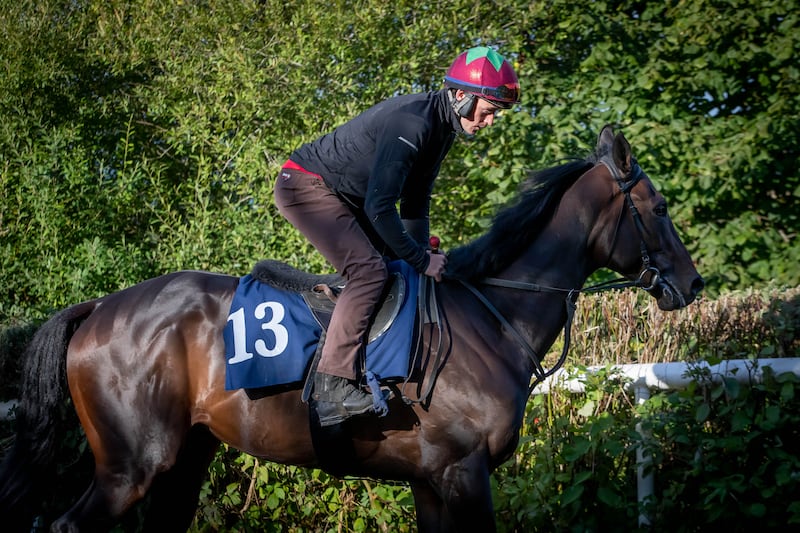 JJ Slevin onboard Al Riffa at trainer Joseph O’Brien’s yard. Al Riffa secured Group One success in Germany last month when landing the Grosser Preis Von Berlin. Photograph: Morgan Treacy/Inpho