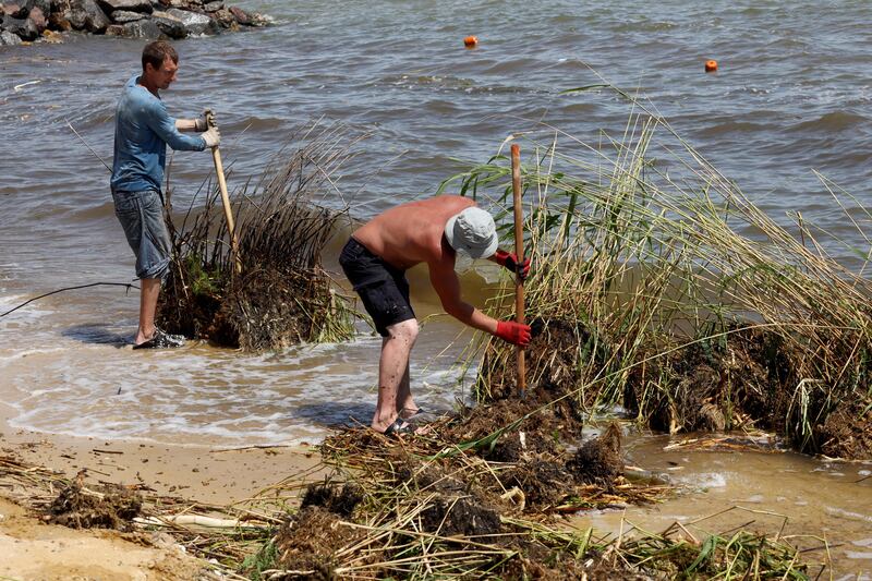 Municipal workers clean up bushes, debris and garbage carried by the floodwaters to the Odesa beaches. Photograph: Oleksandr Gimanov/AFP via Getty