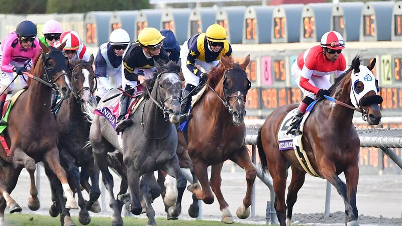 Bricks And Mortar (R) took the Breeders’ Cup Turf ahead of Aidan O’Brien’s Anthony Van Dyck. Photograph: Frederic J Brown/Getty/AFP