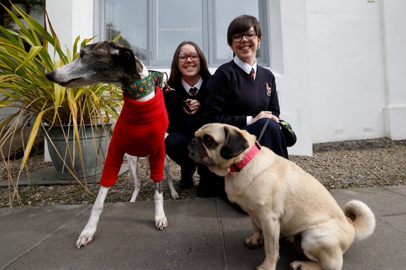 Villiers School students Olivia Lambert and Clodagh Lambert with dogs Adam and Dolly. Photograph: Nick Bradshaw/The Irish Times