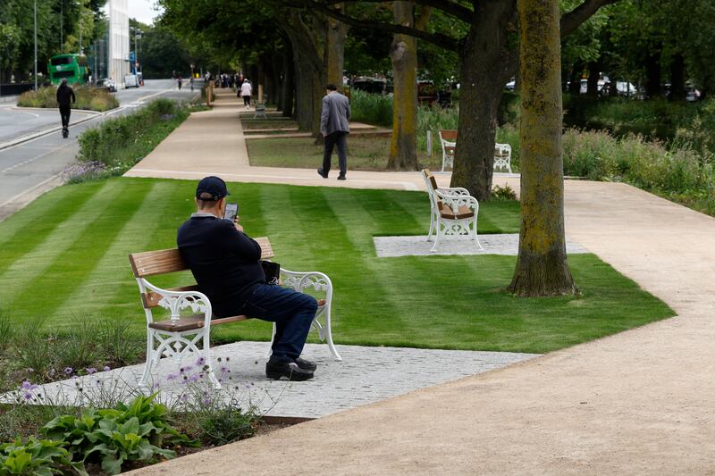 The towpath upgrade deployed high-quality, permeable materials to protect tree roots and enhance sustainability. Photograph: Nick Bradshaw/ The Irish Times  