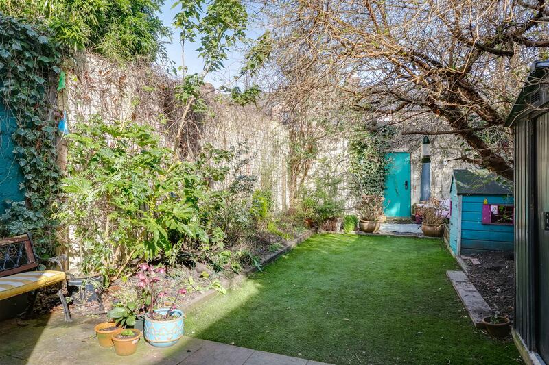 Back garden