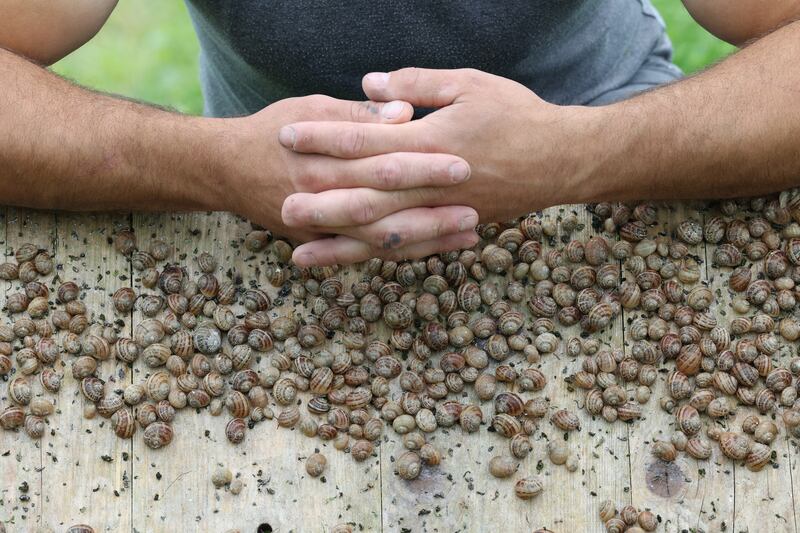 Peter in the Snail Paddock.  Photograph: Nick Bradshaw