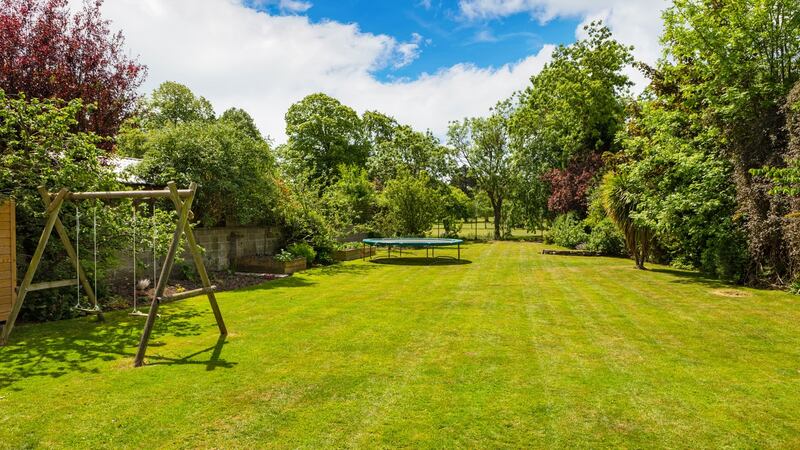 Back garden