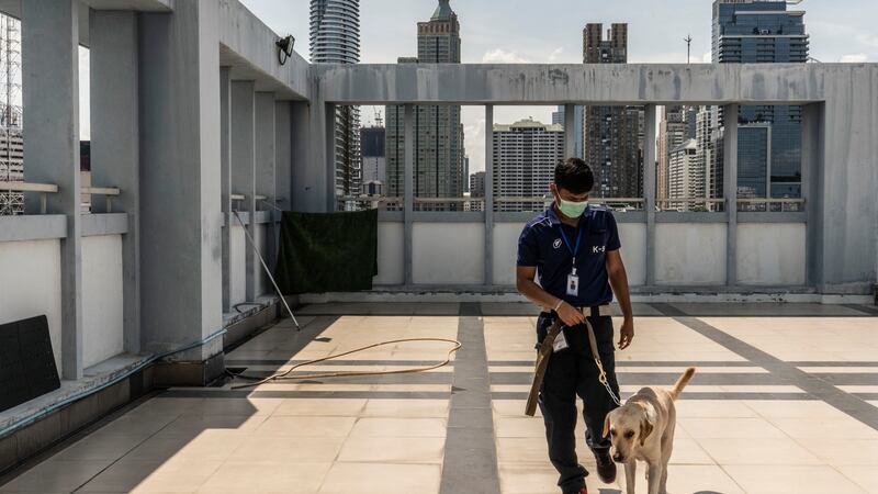 Bobby on  an exercise break during training at Chulalongkorn University. Photograph: Adam Dean/The New York Times