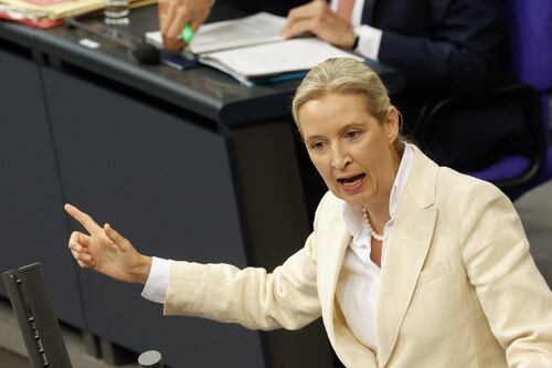 Alternative for Germany tries to tone down to cut further into mainstream
