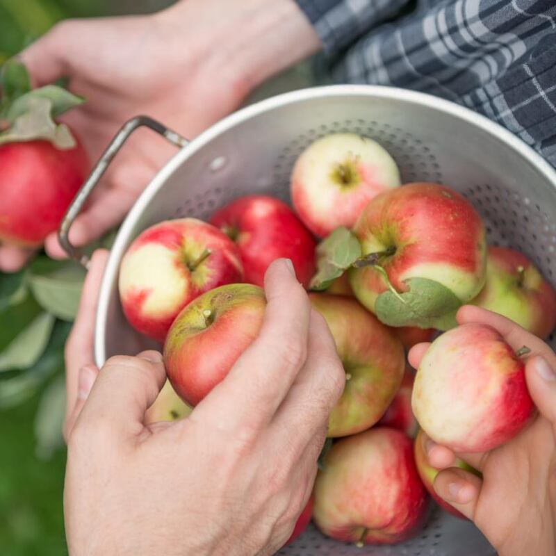 Photograph: iStock