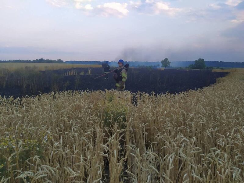 Ukrainian crops allegedly destroyed by Russian forces. Photograph: Lara Marlowe
