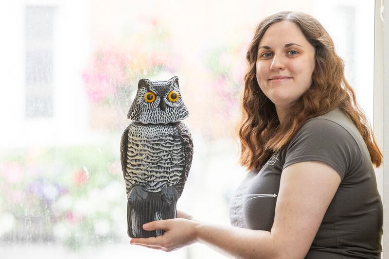 Joy McKeon with an owl statue she uses to scare seagulls at her home in Drogheda. Photograph: Tom Honan