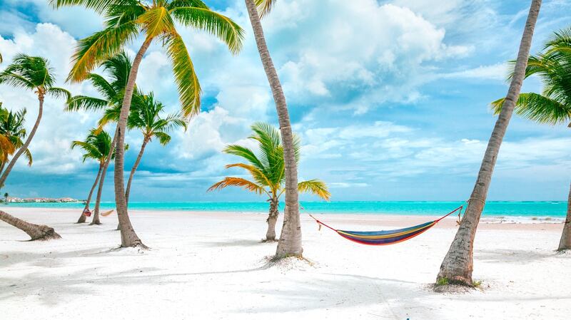 Beautiful day at Cap Cana beach in the Dominican Republic - Idyllic view to the blue ocean through the coconut palms. Nine days in April from €1,459pps.