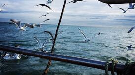 Lobsters, Nescafe, and cigarettes