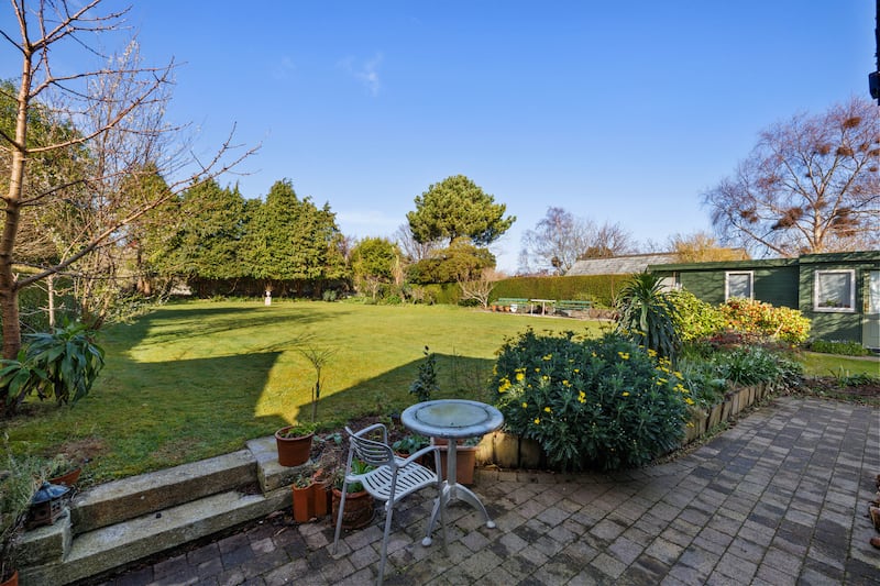 Back garden