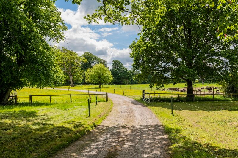 The avenue is dotted with trees.