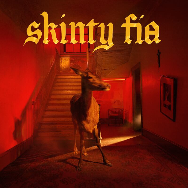 Fontaines DC: Skinty Fia 