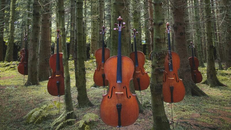 The Spike Cello Festival Spike will be held at various venues around Dublin in February.  Photograph: Laura Sheeran