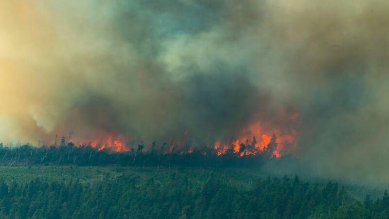 Fire at the Slieve Bloom Mountains.Photograph Tom O'Hanlon.