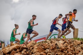Sonia O’Sullivan: Ireland in the hunt for medals at European Cross Country Championships