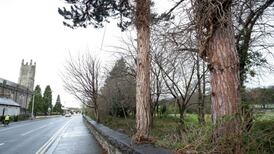 Plans shelved to build social housing without permission