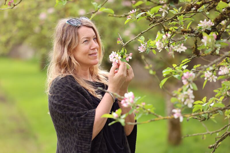 Avril Stanley: 'The bigger we got the more we had to compromise.' Photograph: Dara Mac Dónaill 







