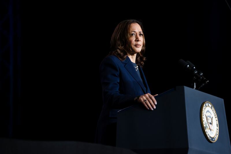 Kamala Harris speaks at an event in Houston, Texas, last month. Photograph: Erin Schaff/New York Times
                      