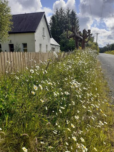 Sligo Sudbury is located outside Sligo town