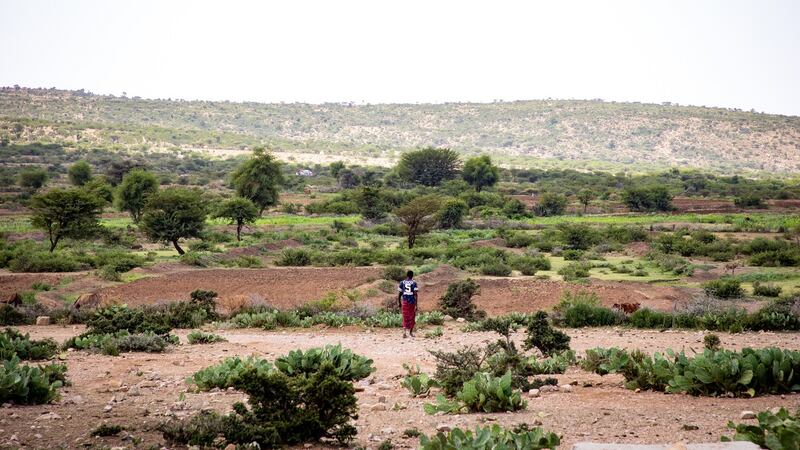 A farmer walks out to his field in Carracad, Somaliland. Photograph: Gavin Douglas/ Concern Worldwide