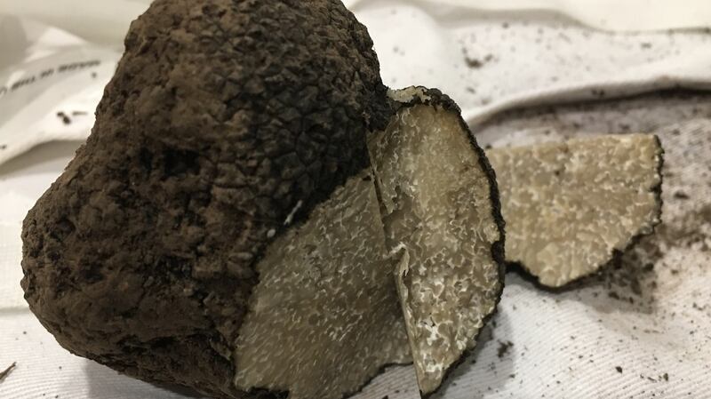 Summer truffle