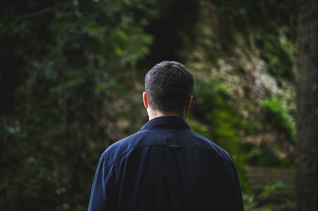 'Parting branches while twigs snapped underfoot and pine needles clung to his clothes. He ventured deep into the forest.' Photograph: iStock
