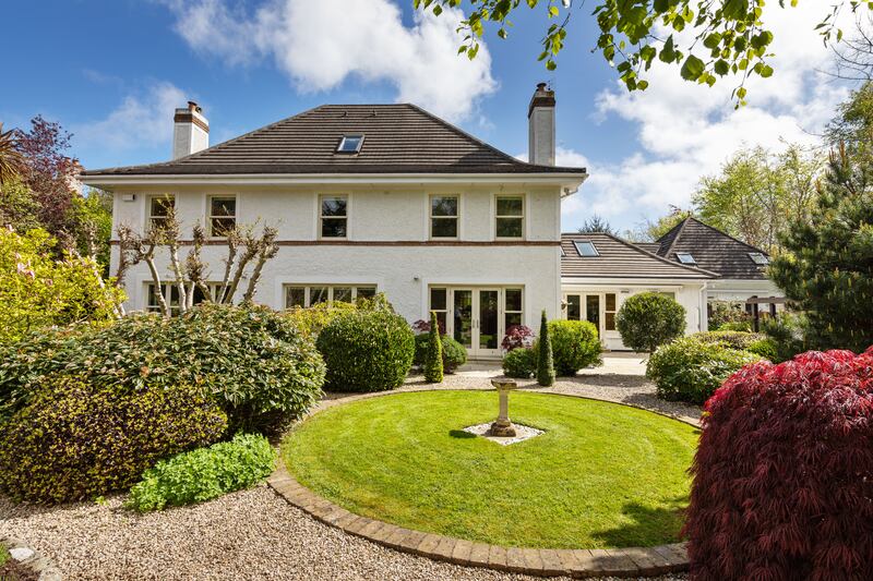 Back garden
