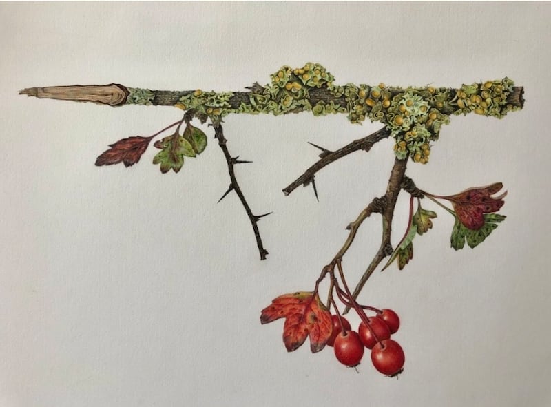 Hawthorn by Siobhan Larkin (€795) at the Botanical and Floral Art exhibition in the Phoenix Park visitors' centre during Bloom gardening festival