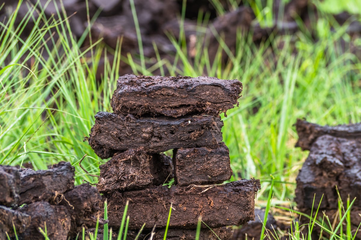 Illegal peat extraction in 44 bogs countrywide, but action taken by only one council