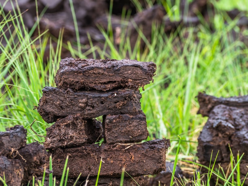 EU is taking Ireland to court over failure to stop illegal peat extraction