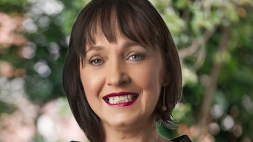 Fianna Fáil Senator Fiona O’Loughlin has said ad-hoc arrangements are still in place when it comes to maternity leave for politicians.