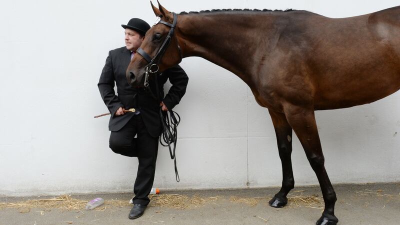 Peter McCarthy from Meelin Stud, Bandon, Co Cork, with former Pembroke Cup Winner Ard Saggart Saviour, at the RDS Horse Show. Photograph: Alan Betson