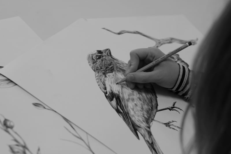 Georgina O'Hanlon's illustration, which she produces in a room in her Dublin home.