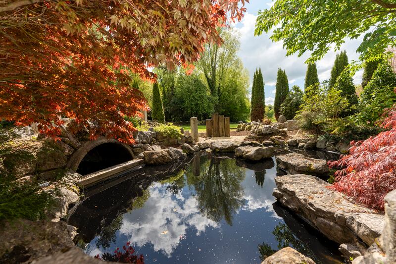 Garden pond