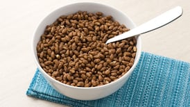 Kellogg’s to cut down on sugar habit in children’s cereal
