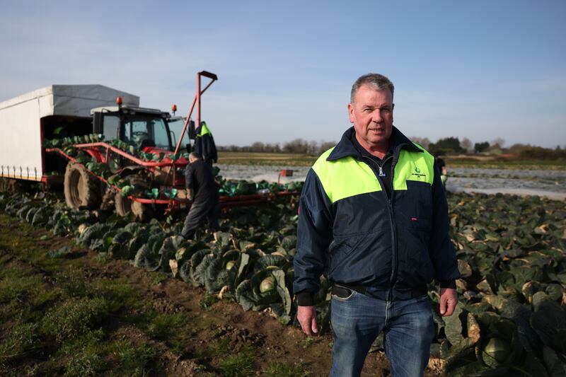 Fourth-generation cabbage farmer Leo Murphy. Photograph: Enda O'Dowd