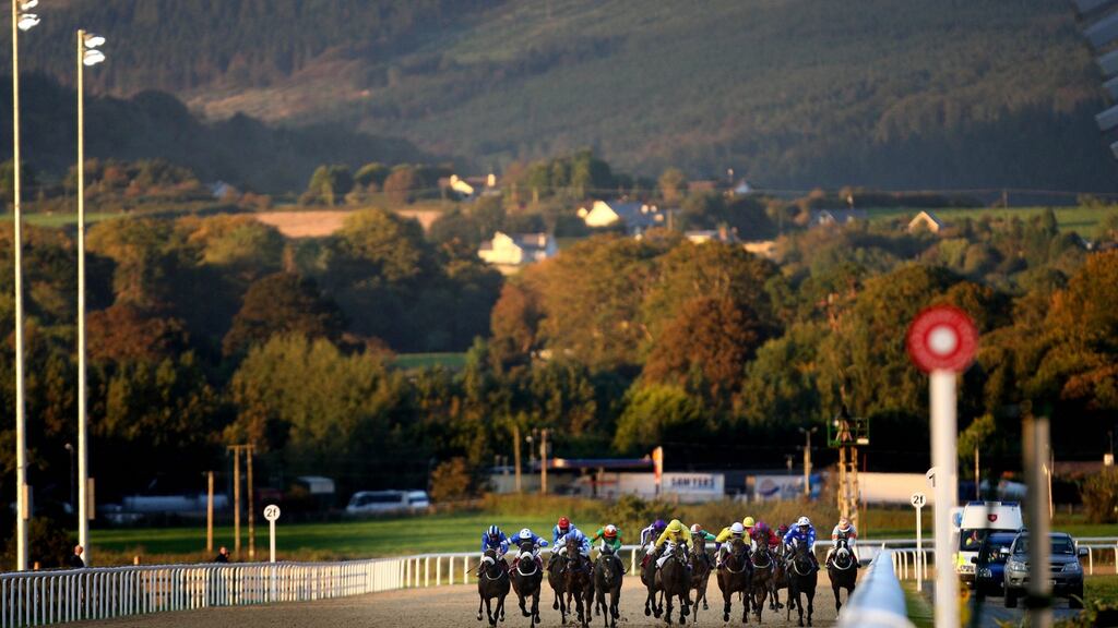 Dundalk racecourse “There are horses running here almost week in, week out. There are absolutely no welfare concerns,”said Dundalk track chief executive Jim Martin. Photograph: Morgan Treacy/Inpho