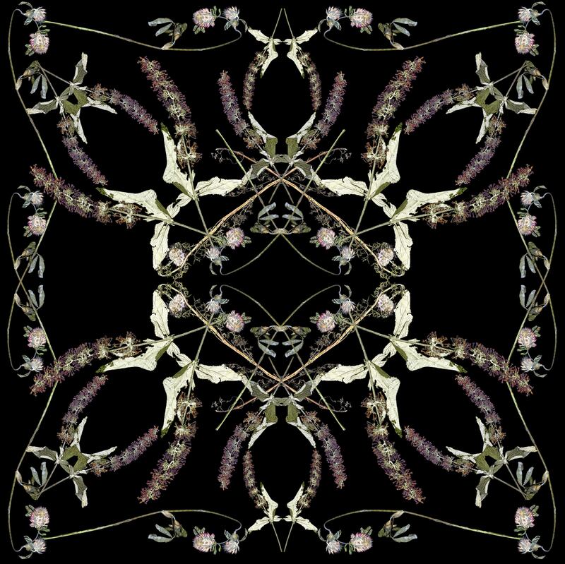 Design for a silk scarf (pressed flowers Bridgefoot St Gardens), 2019