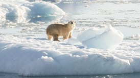 Irish people trust science – so why don’t we take climate change more seriously?